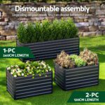 Green Fingers 2-in-1 Raised Garden Bed Kit 45cm Professional Depth Ergonomic 240cm Large Metal Planter Box | Easier Access Veggie Patch | Rust-Proof Galvanised Steel with Safe Rounded Corners & Gloves - Image 4
