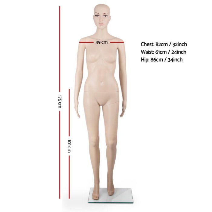 175cm Tall Full Body Female Mannequin - Skin Coloured - Image 2