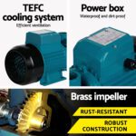 Giantz Peripheral Water Pump Garden Boiler Car Wash Auto Irrigation House QB80 - Image 6